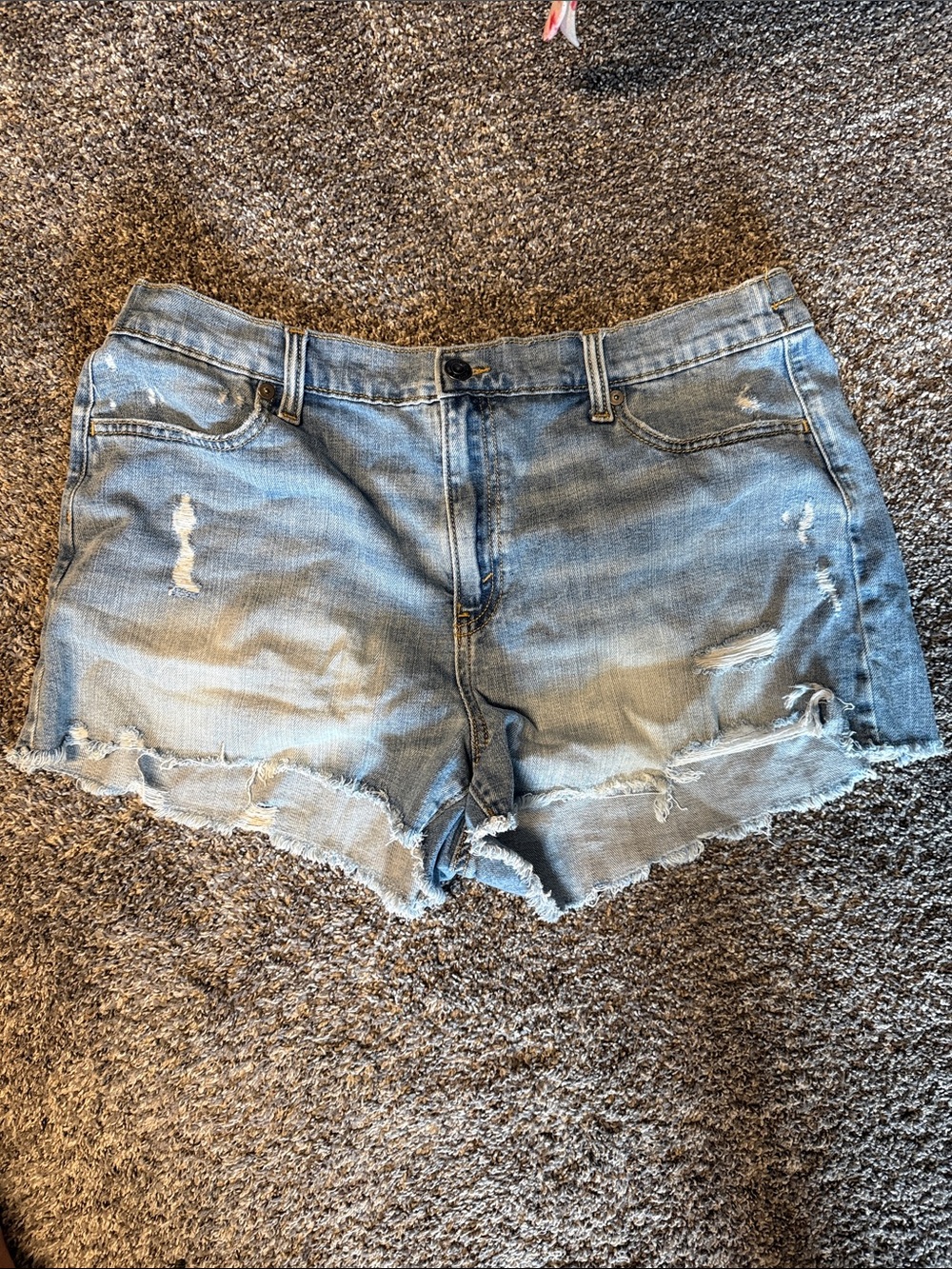 aerie Light Blue Distressed Denim Shorts